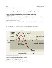 holtzclaw study guide answers for metabolism