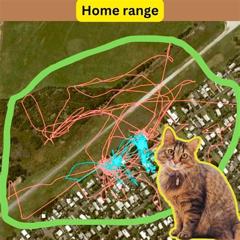 Home And The Range