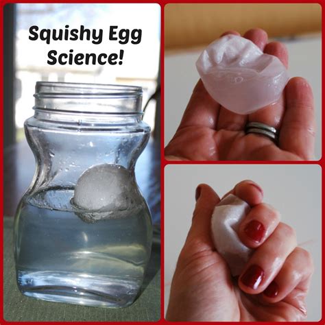 Home School Science Experiments Squishy Egg Amp Magnet School Science Experiment - School Science Experiment