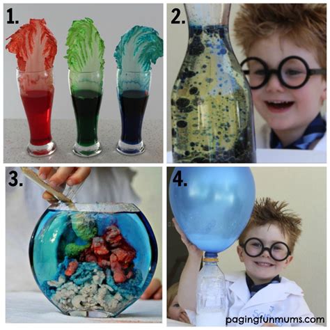 Home Science Project
