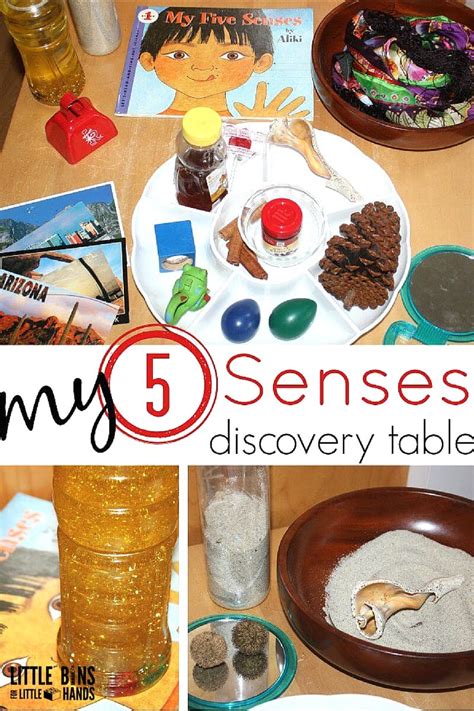 Home Sense About Science Usa Senses Science - Senses Science