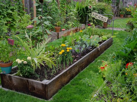 Home Vegetable Gardens