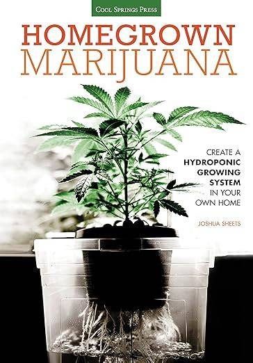 homegrown marijuana create a hydroponic growing s