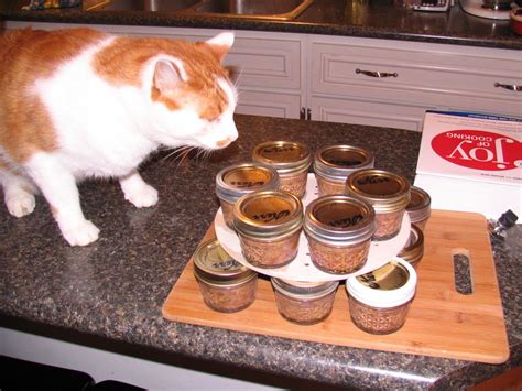 homemade treats for cats with kidney disease Jinny Loftis