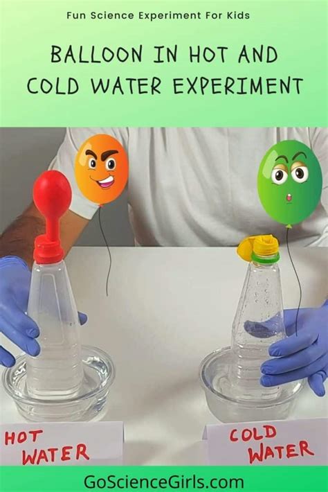 Homeostasis Balloon Experiment