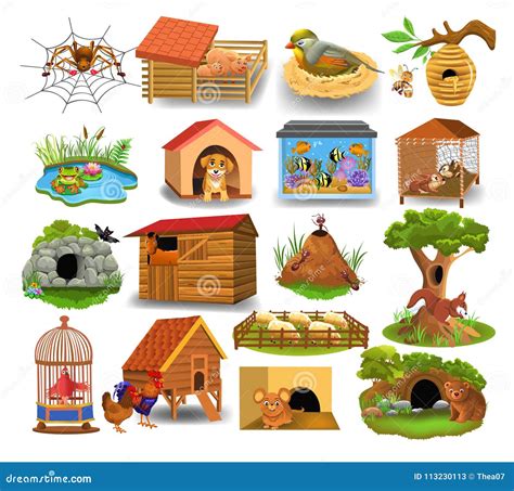 Homes Of Animals Homes Of Bird Rabbit Mouse Animals With Their Shelters - Animals With Their Shelters