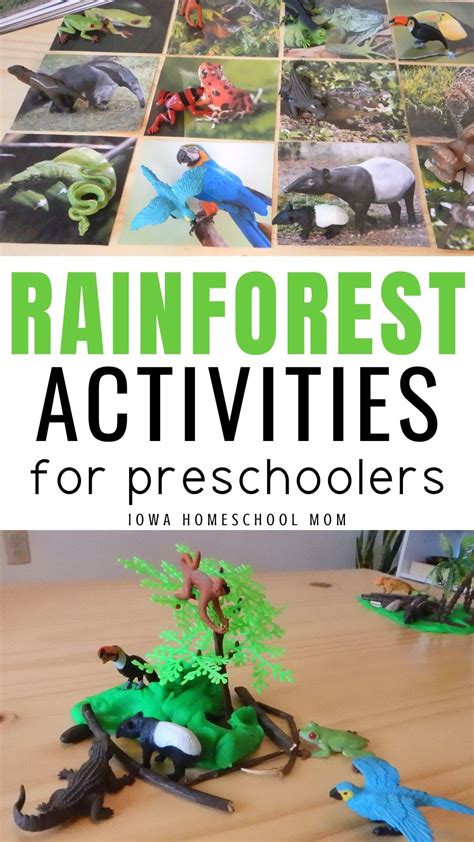Homeschool Science With Rainforest Journey A Review By Rainforest Science - Rainforest Science