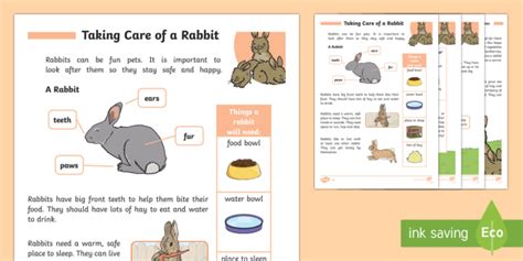 Homework Help For Ks2 Rabbit Proof Fence Worksheet Answers - Rabbit Proof Fence Worksheet Answers