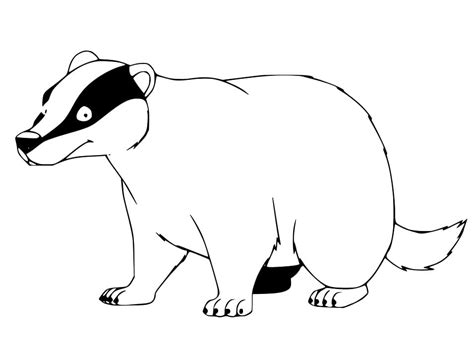 Honey Badger Coloring Page   Badgers Coloring Pages Coloringbay - Honey Badger Coloring Page