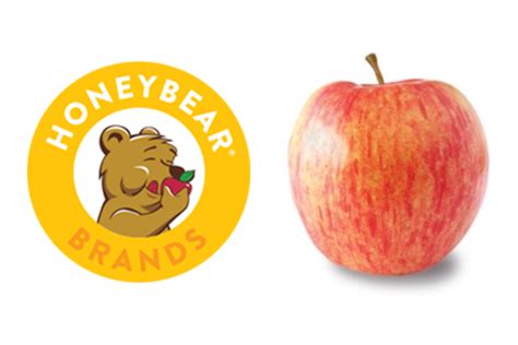 honeybear | Honey Bear Cream Bow Cosmodern