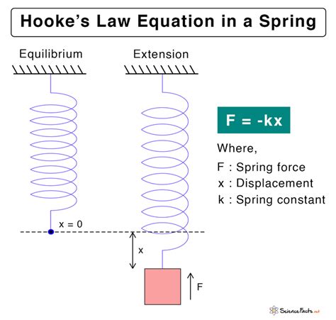 Hooke S Law Statement Formula And Diagram Hooke S Law Worksheet - Hooke's Law Worksheet