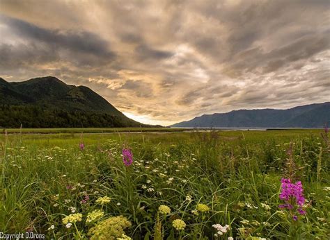 hope alaska