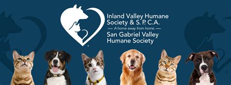 Hope For Animals