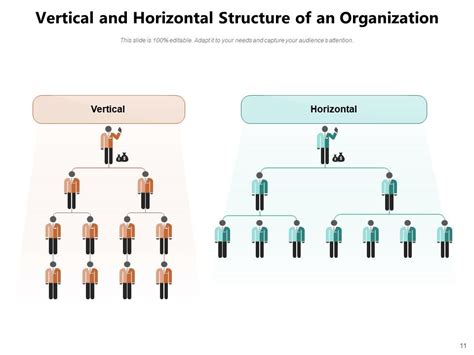 Horizontal Vs Vertical Organizations