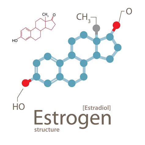hormon estrogen