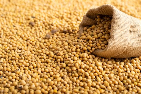 hormonrubbningar soja