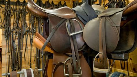 horse: Tack and equipment and their parts - Collins …