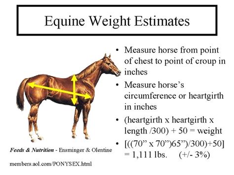 horse accumulator calculator
