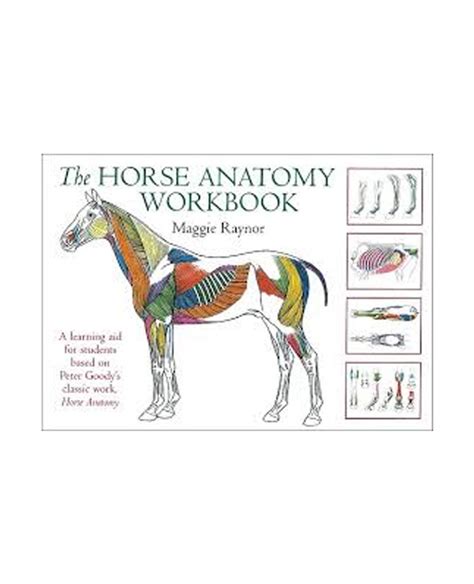 Horse Anatomy Workbook