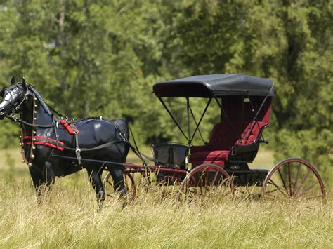Horse And Buggy