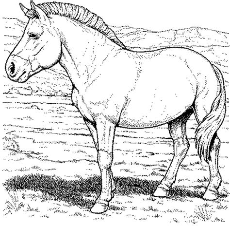 Horse Coloring Pages 100 Free Printables I Heart Race Horse Coloring Pages - Race Horse Coloring Pages