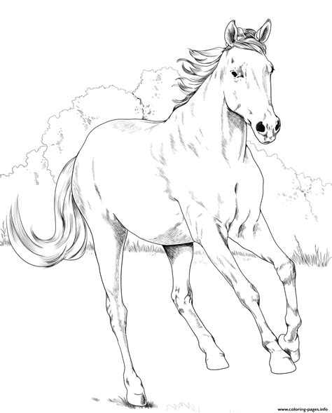 Horse Coloring Pages 76 Free Printable Coloring Sheets Draft Horse Coloring Pages - Draft Horse Coloring Pages