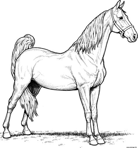 Horse Coloring Pages Free Amp Printable Horse Farm Coloring Pages - Horse Farm Coloring Pages