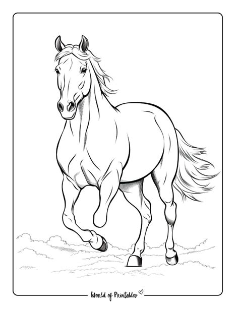 horse coloring sheet