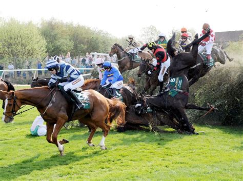 horse deaths grand national