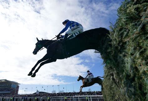 horse deaths grand national