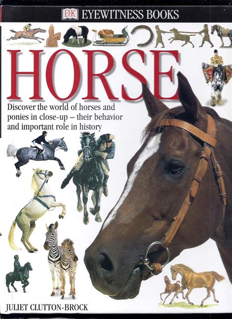 Horse Dk Eyewitness