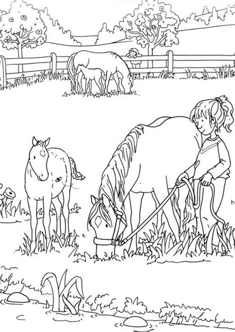 Horse Farm Coloring Pages Amp Coloring Book 6000 Horse Farm Coloring Pages - Horse Farm Coloring Pages