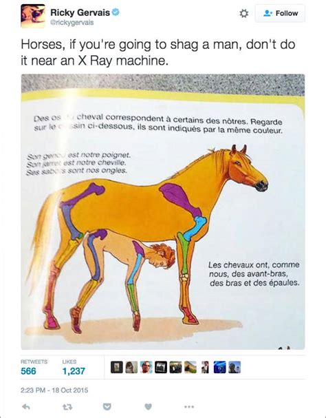 Horse porn 2023