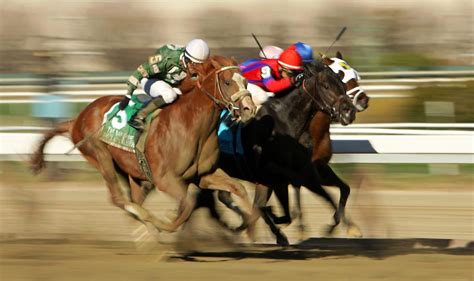 horse racing betting sites