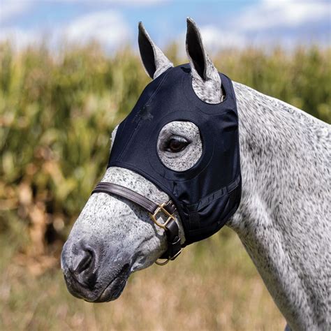horse racing face mask