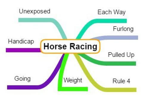 horse racing terminology