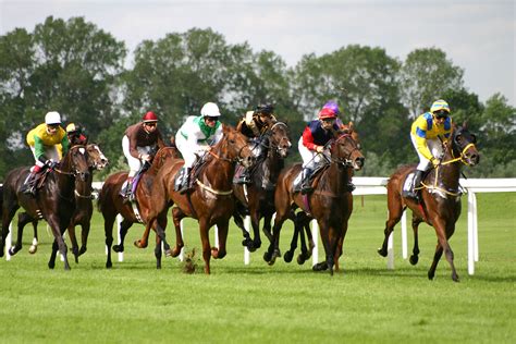 horse racing to place