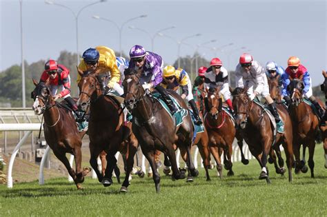 horse racing to place