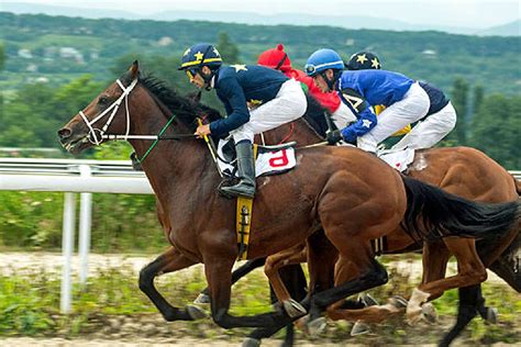 horse racing top tips