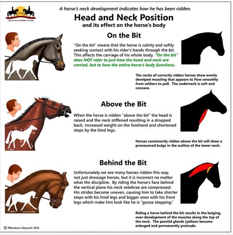 horse tip