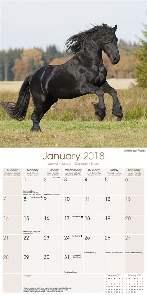 Full Download Horse Lovers 2018 Box Calendar Animals Horses 