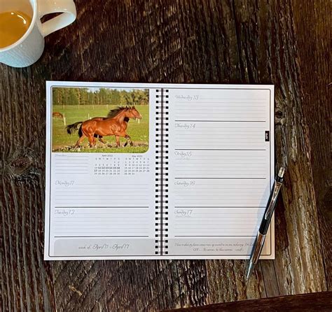 Download Horse Savvy 2018 Day Planner Equine Health Care Records Horse Calendar 2018 