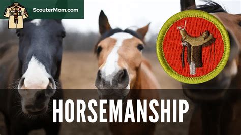 Read Online Horsemanship Merit Badge Answers 