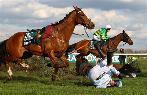 horses in the grand national