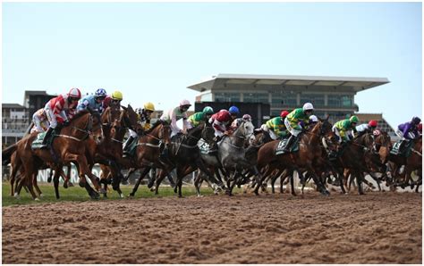 horses in the grand national