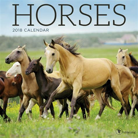 Download Horses 2018 Mini Calendar 