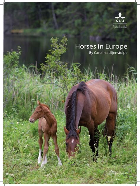 Full Download Horses In Europe By Carolina Liljenstolpe Wbfsh 