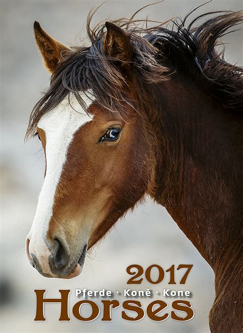 Full Download Horses Wall Calendar 2017 
