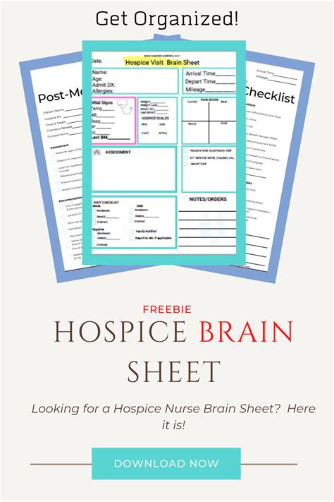 Full Download Hospice Documentation Examples 