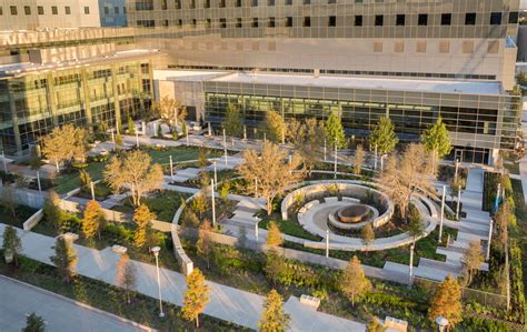 Full Download Hospital Outdoor Landscape Design Intechopen 